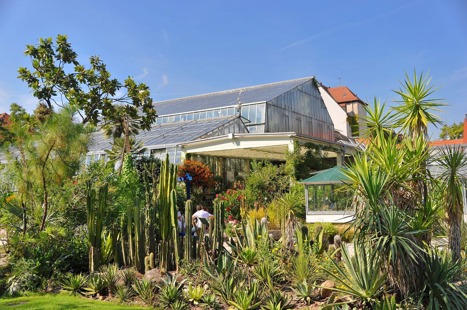 Botanischer Garten, Erlangen