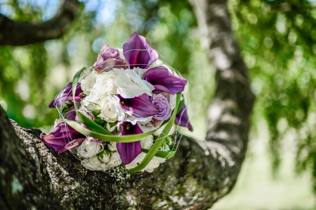 Hochzeit im Barockschloss Zeilitzheim — Bild 25