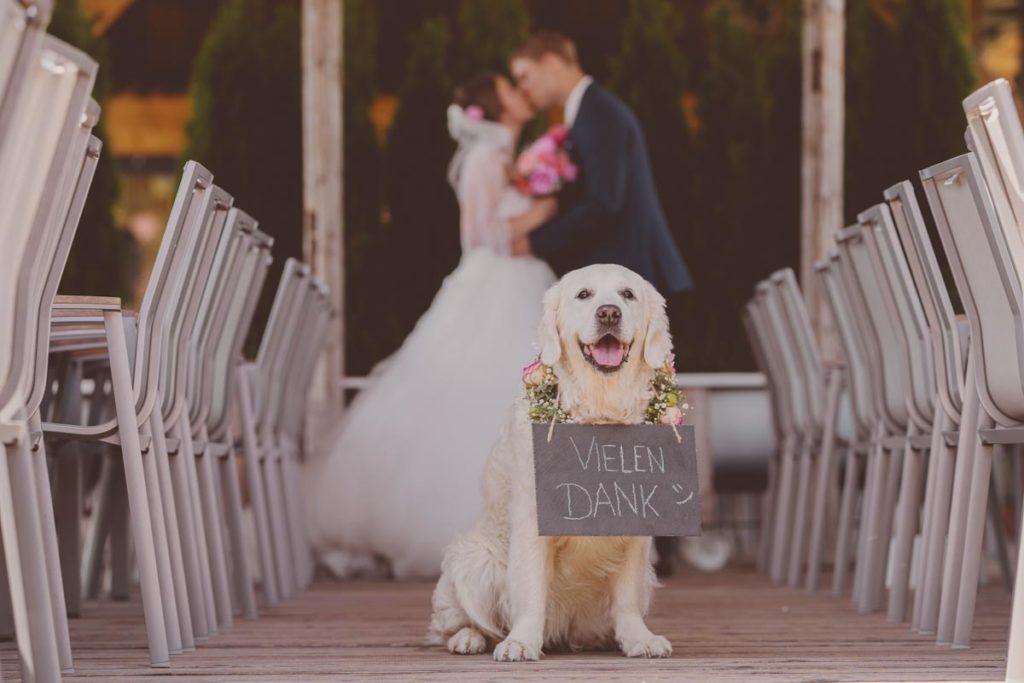 Hochzeit auf dem Brückenbaron — Bild 26