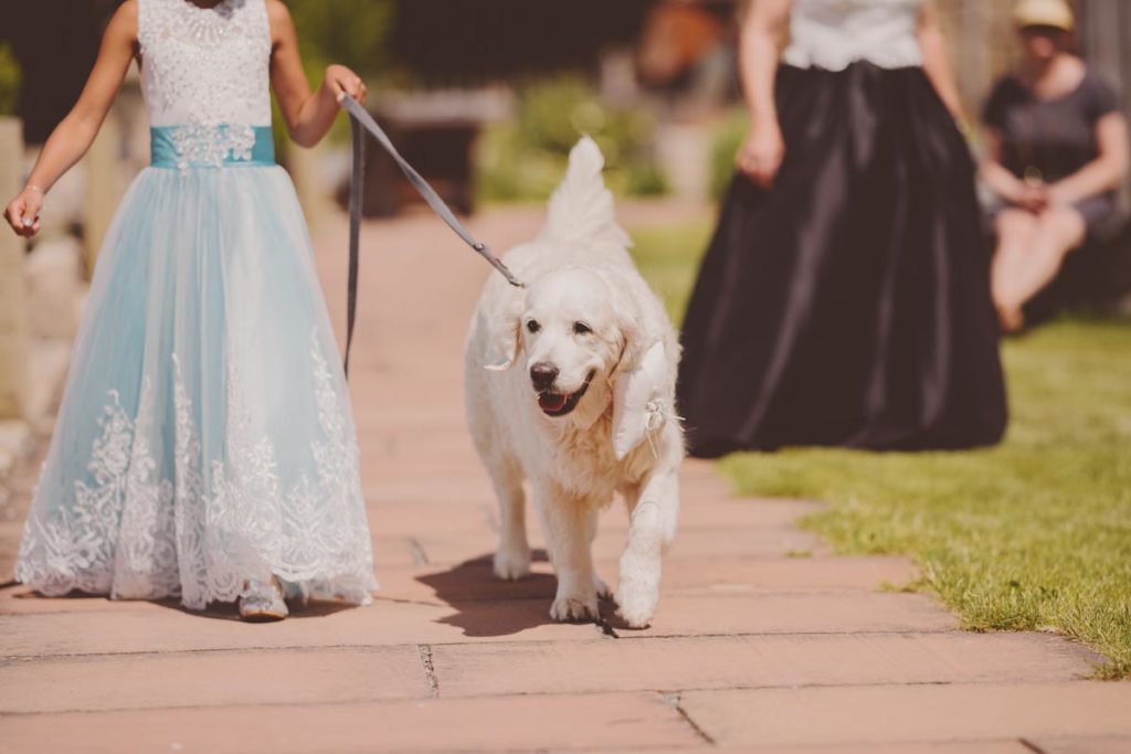 Hochzeit auf dem Brückenbaron — Bild 64
