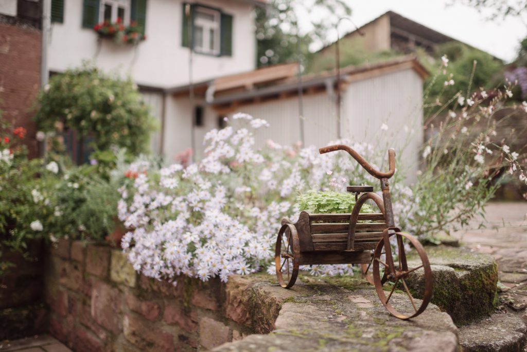 Hochzeit in der Holzmühle — Bild 45