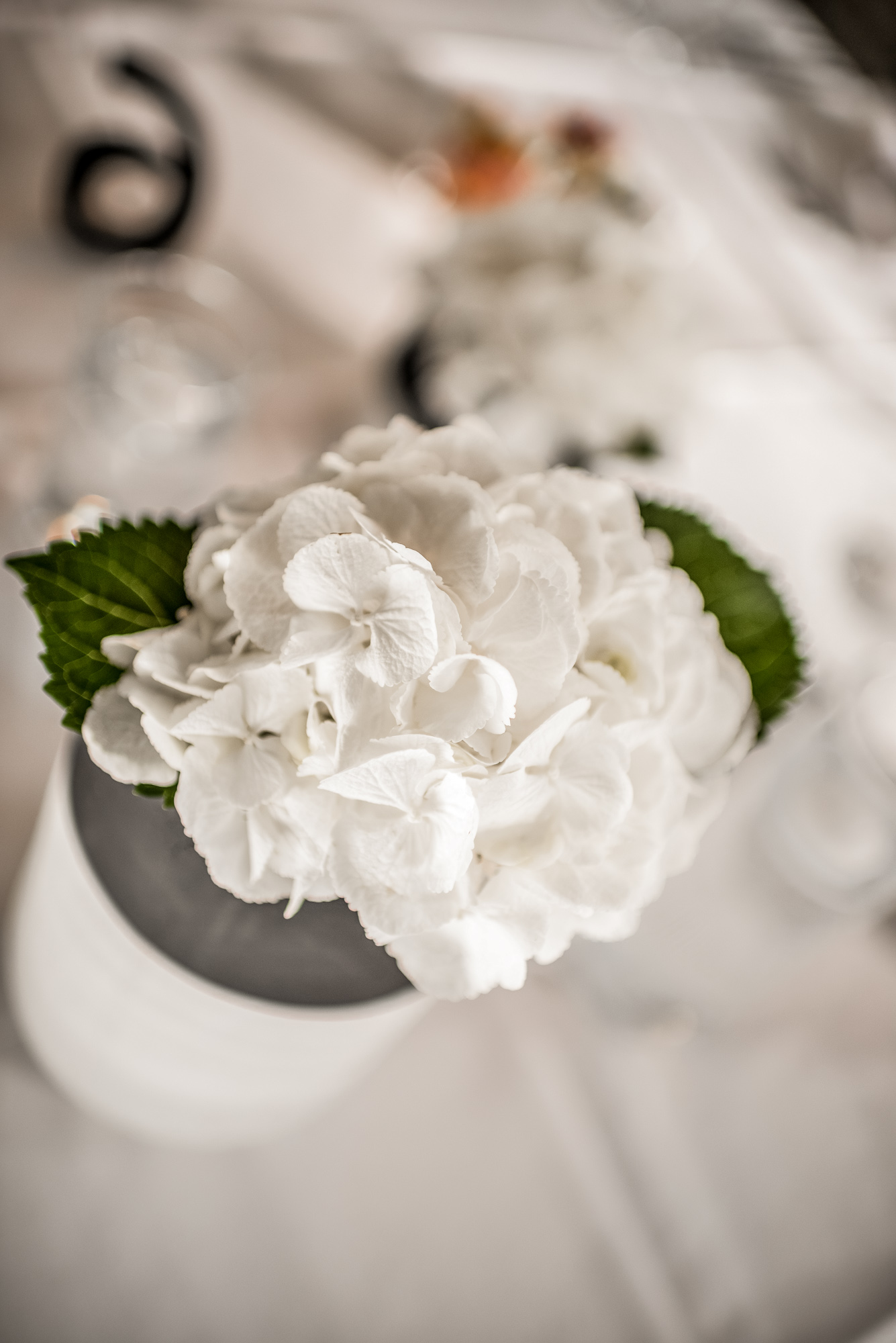 Hochzeit bei Prichenstadt – Bild 28