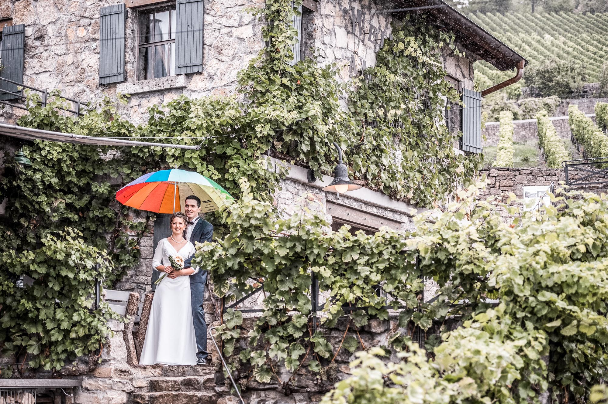 Hochzeit bei Reisers am Stein — Bild 10