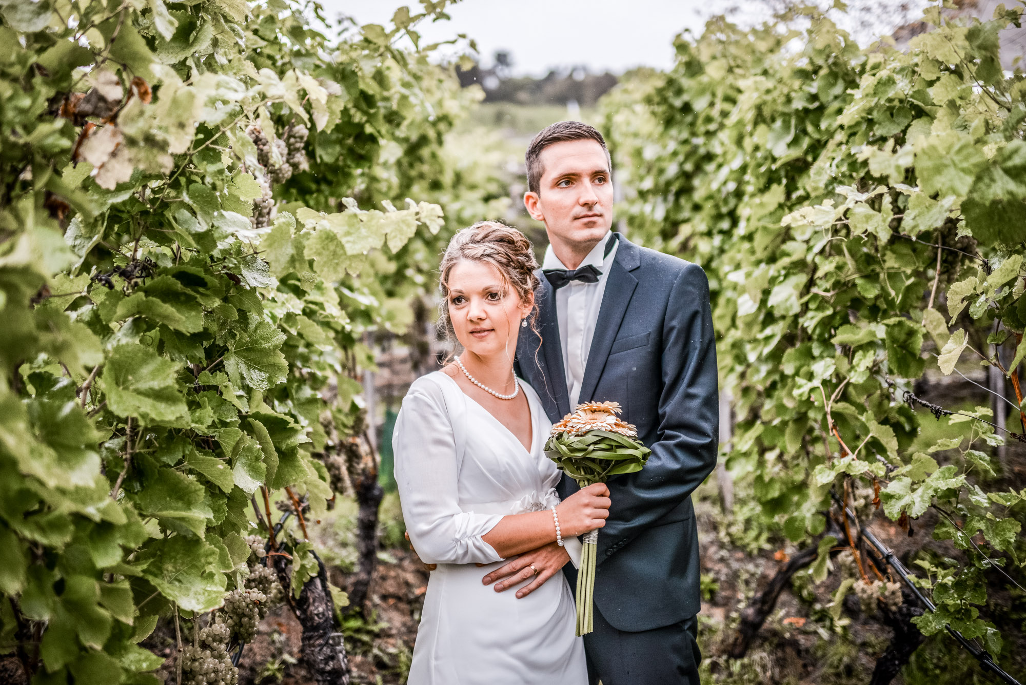 Hochzeit bei Reisers am Stein — Bild 14