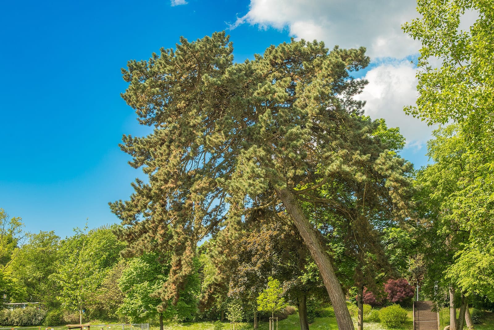 Wehranlagen & Stadtpark, Schweinfurt
